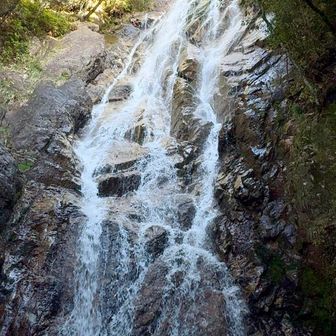 高さも、幅も、
水流も、大迫力〜✨ 
うわぁー🩷  って声でた  
雄滝‼️ 来て見てよかった