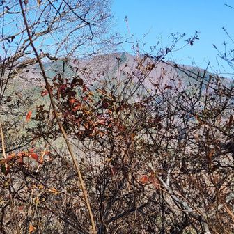 鷹取山山頂から生藤山を望む