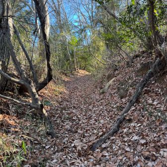 落ち葉地獄の始まり〜