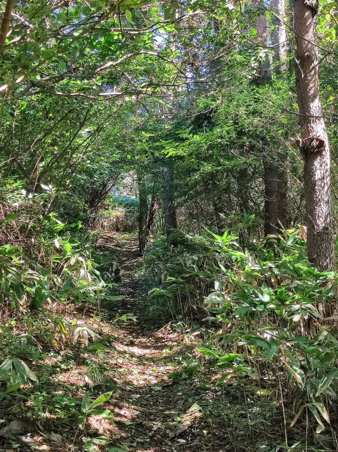 経塚山へ向かいます🚶