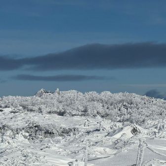 今日は行きません！

ポール持って来てないので😓
やめときます。