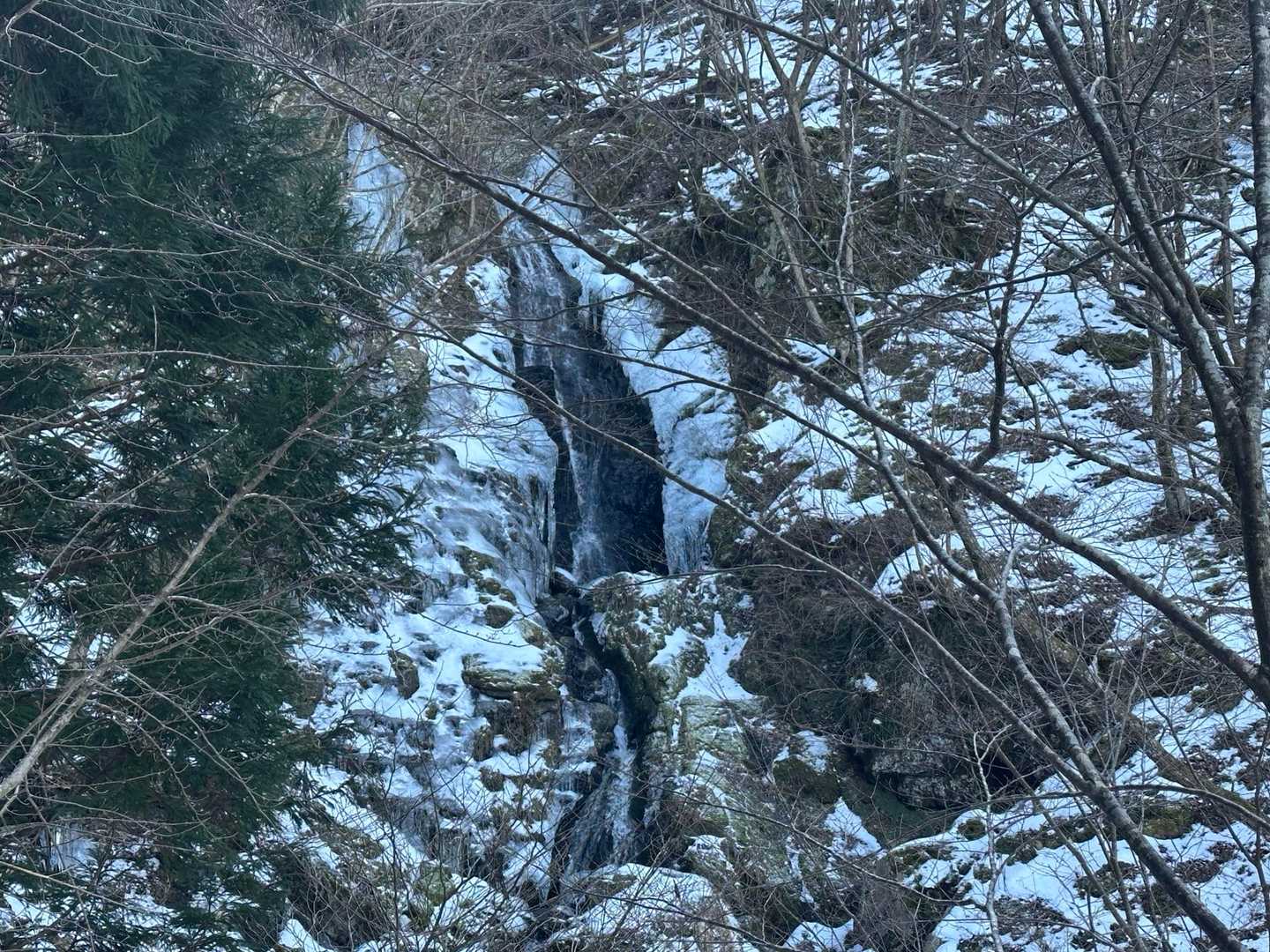 明神滝も少しずつ凍ってきています。🤏