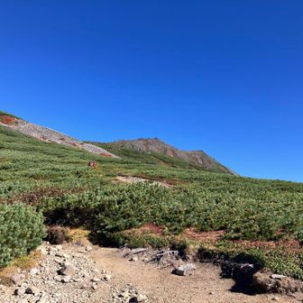トムラウシ山⛰️
えー…これからあれに登るの…