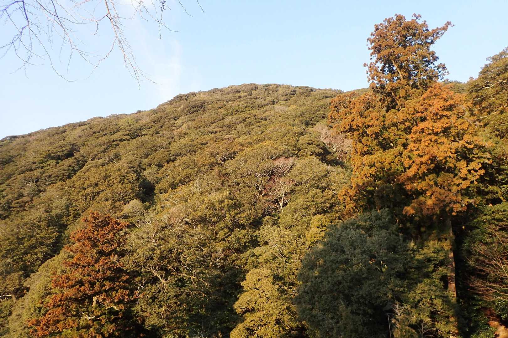 中腹の修禅寺から見る狗留孫山