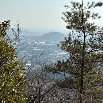 やはり各務山が気になります。
