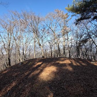 三方分山を激下りながら後悔しかけたが、釈迦ヶ岳まで来てみたらご褒美あった。
