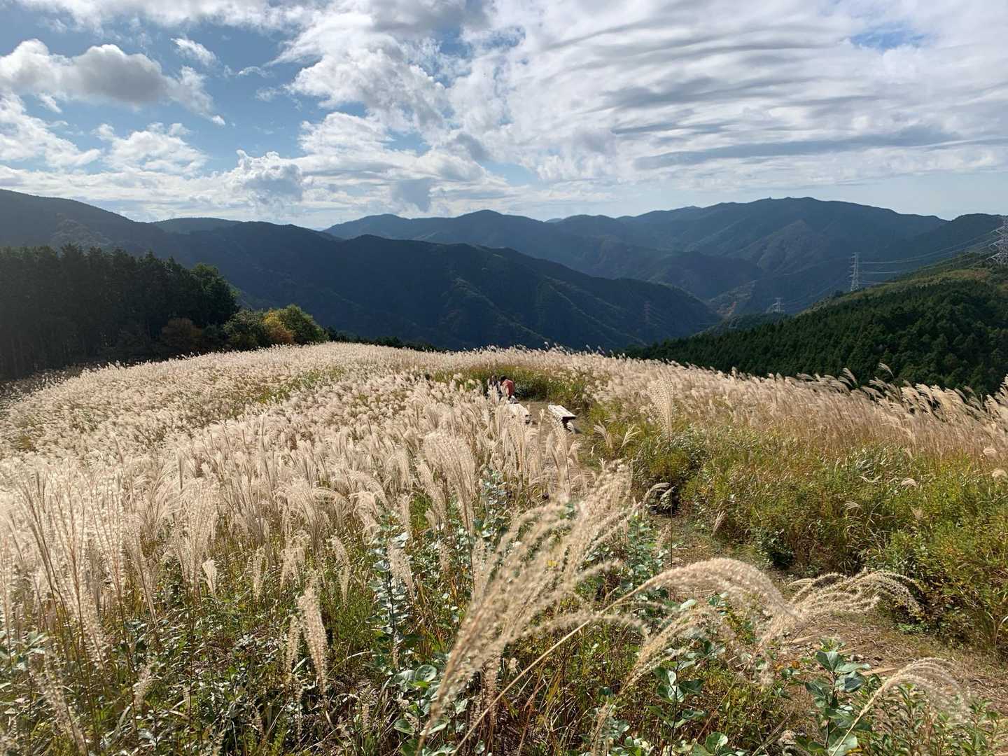 滝畑ダムバス停-滝畑登山口-岩湧山-紀見峠駅 縦走コースの写真