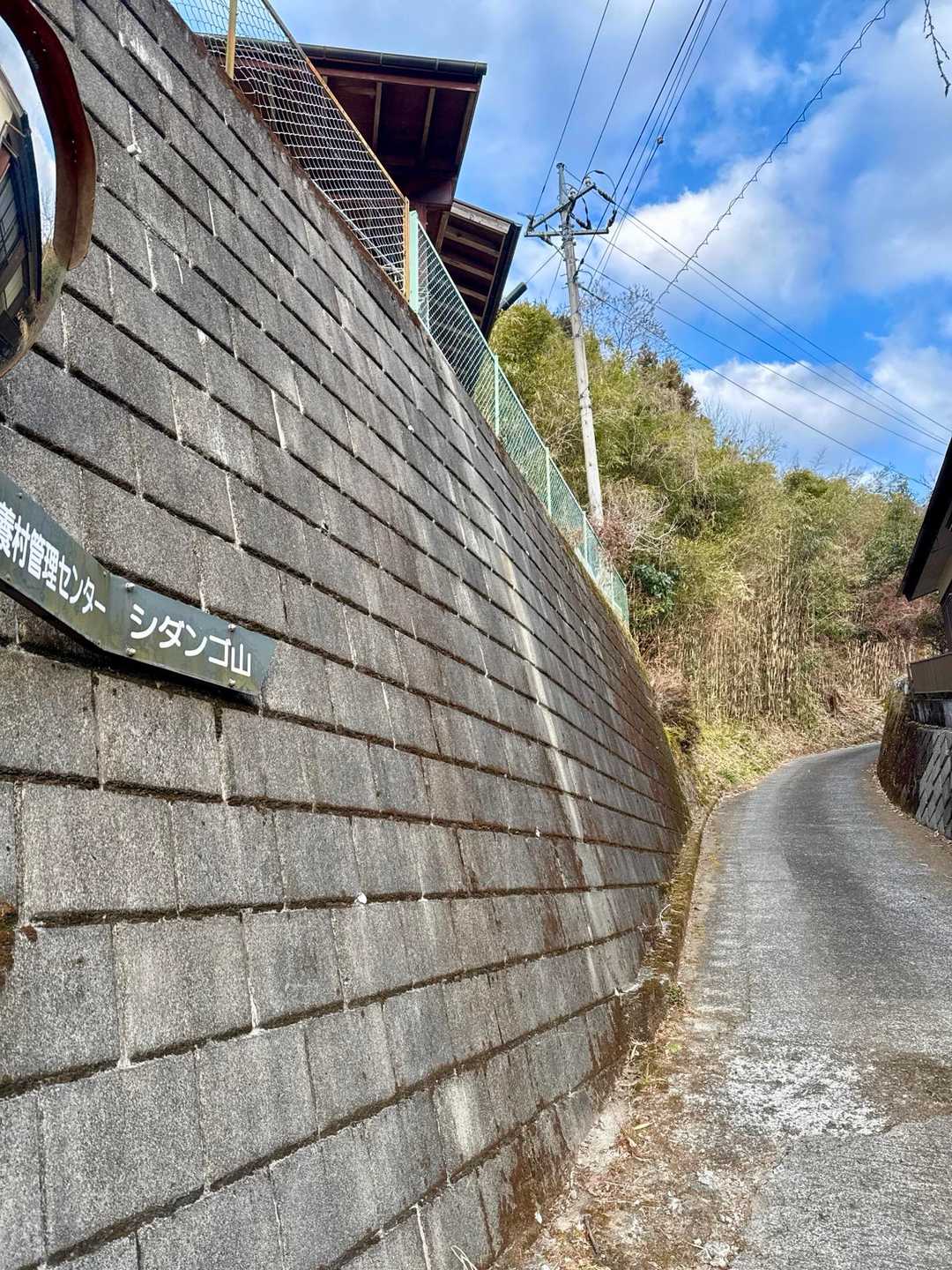 舗装路を登って行きます。