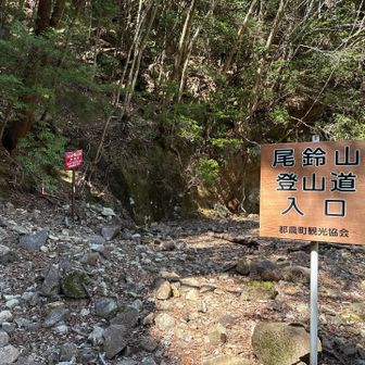 尾鈴山の正面登山口まで下りてきました。