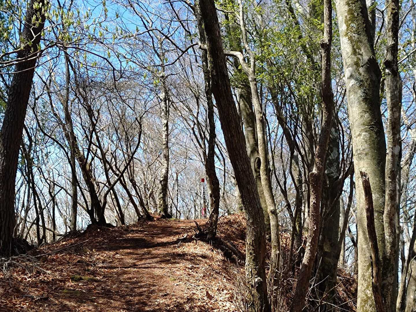 黒原越-赤川浦岳 往復コースの写真