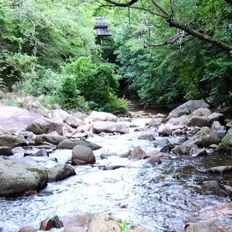 木々の間に東山橋。ここから入渓