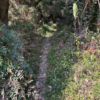 山の神山へ登る