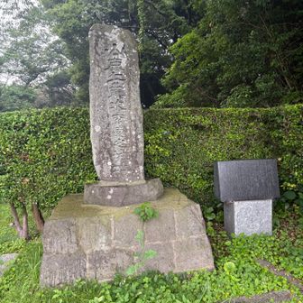 確か壇ノ浦で平家について戦って討死した武将の名前です。ここに城を構えてたんですね😉