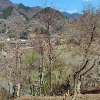 権現山登り口上から