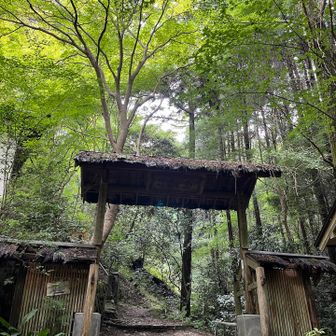 祐泉寺もお久しぶりです😊