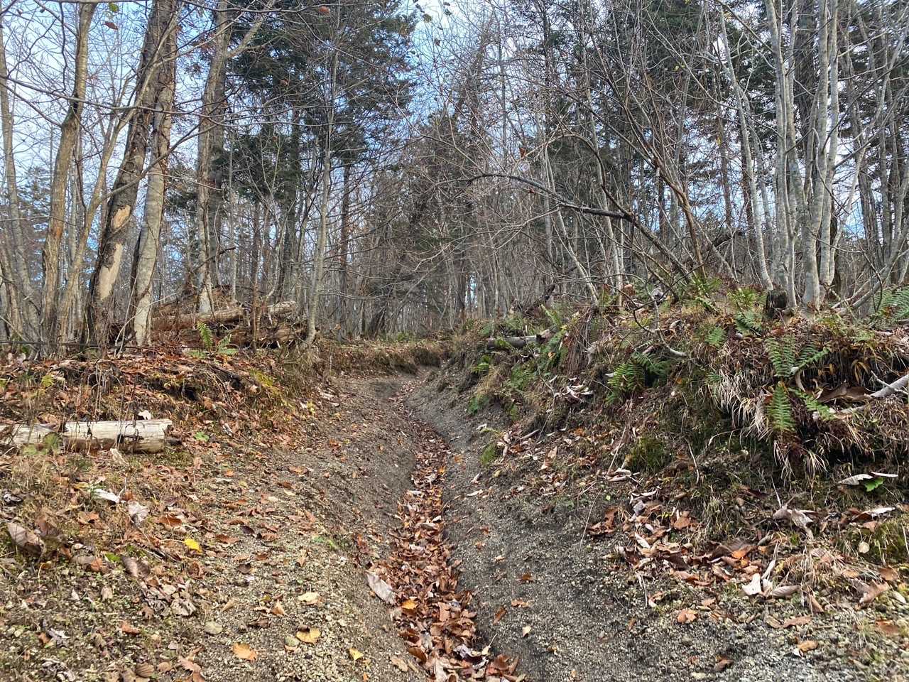 昔は自転車で登れたんだけどなぁ😅
