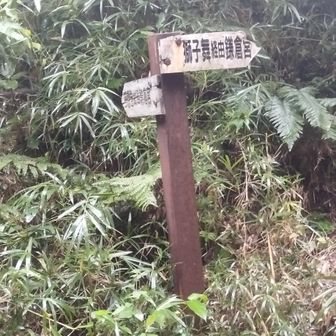 獅子舞は雨だとドロドロになるので、ここは左へ行き天台山経由で鎌倉宮を目指しました。
