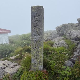 この裏に祠が