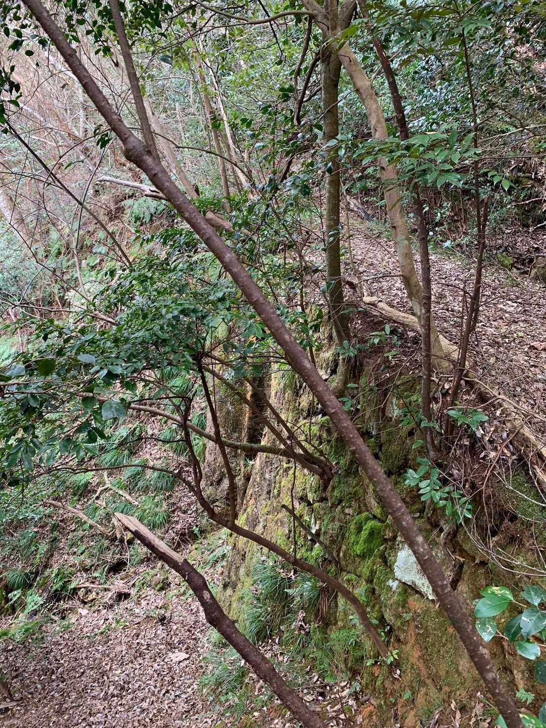 山水を逃す橋、こちらも遺跡ですかね？