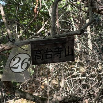 高台寺山⛰️