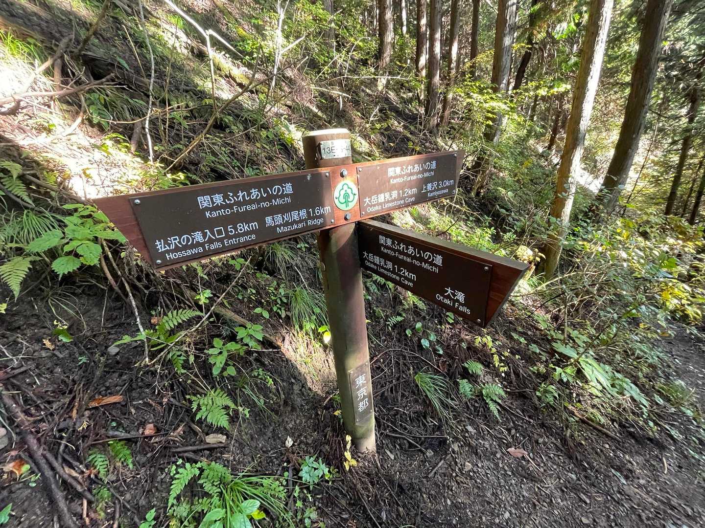 大滝-大岳山 往復コースの写真