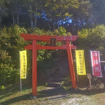 久しぶりの青空で、山登り嬉しい😍