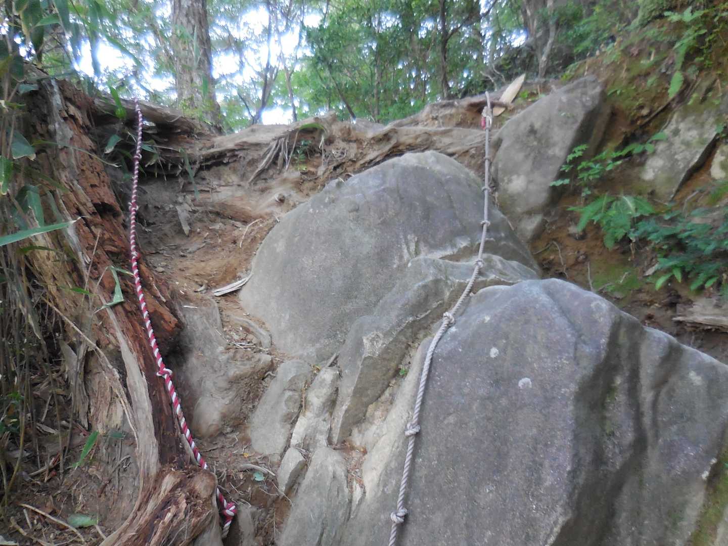 ハードな場所が結構多いです…