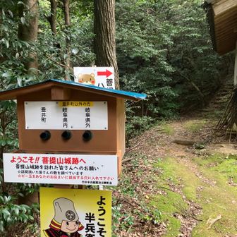白山神社まで降りてきました。
菩提寺登山道のスタート地点に到着。
ビー玉の調査協力しておきます。