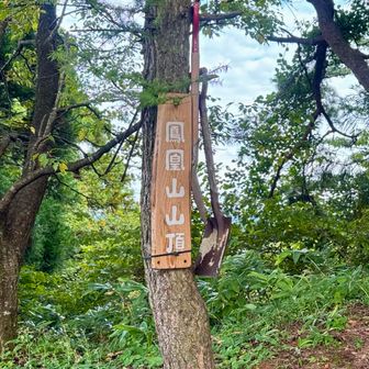 やっぱ鳳凰山だね♡
