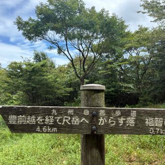 からす落