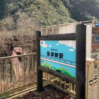 そこから歩くこと10分あまり。
JR保津峡駅でゴール。初めて来た。