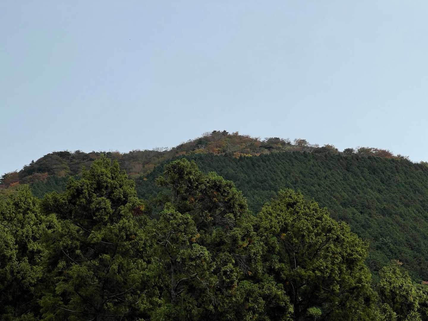 矢倉沢バス停-矢倉沢登山口-矢倉岳-清水越-地蔵堂バス停 縦走コースの写真