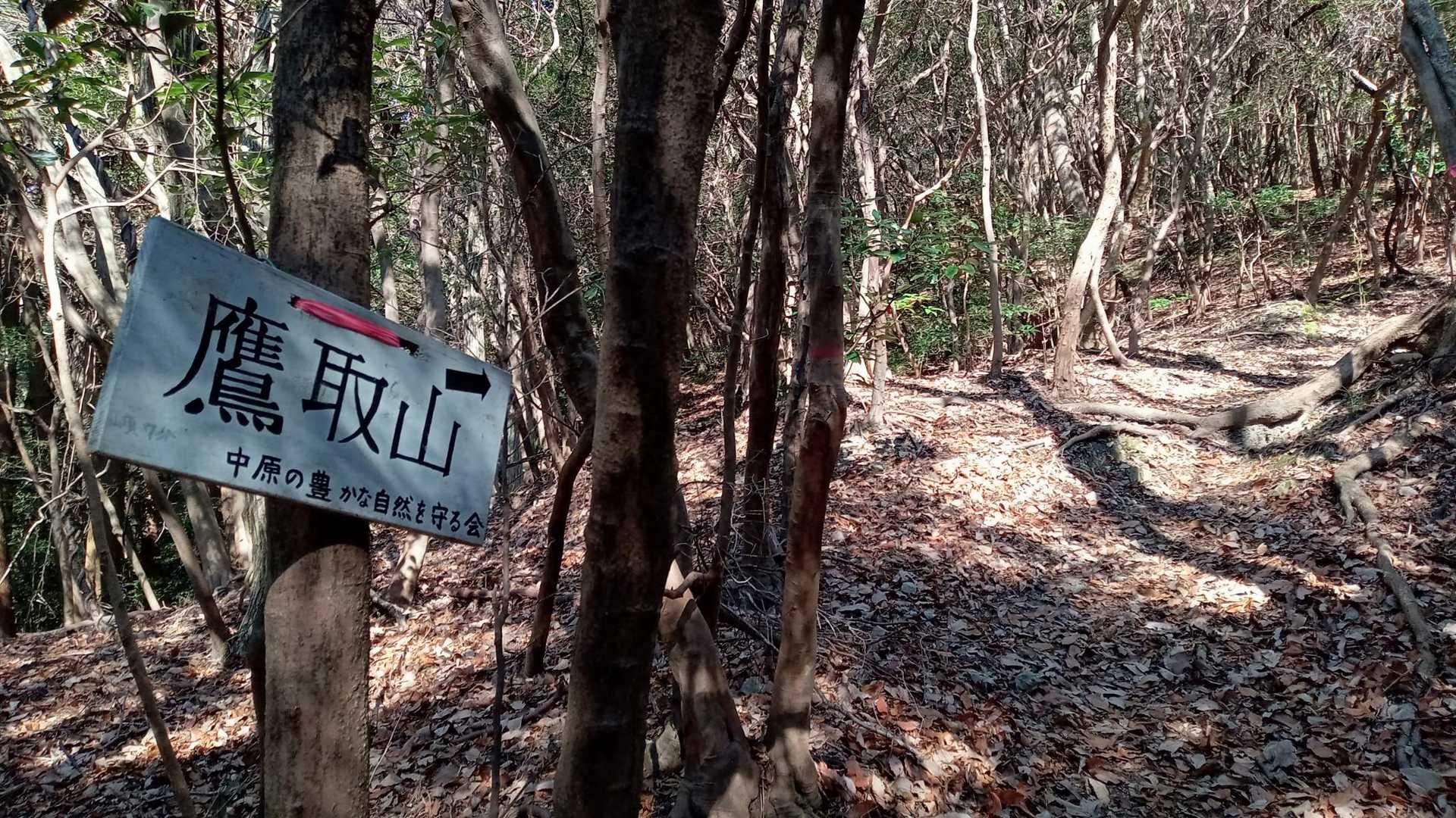 登る角度が変わる