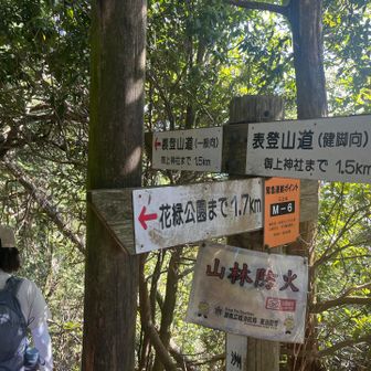 裏登山で下山します。
