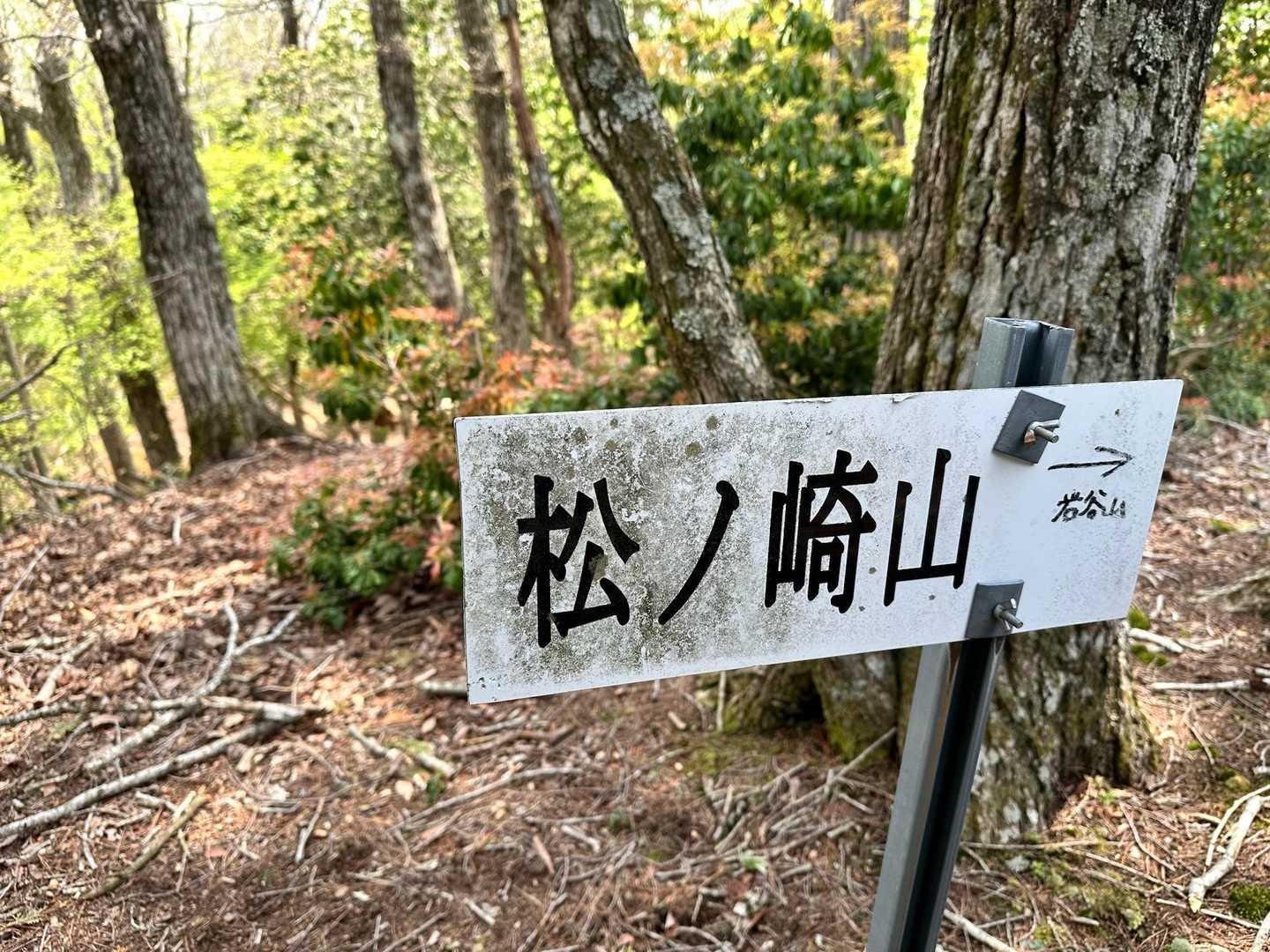 松ノ崎山　登頂🎌