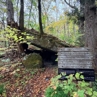 その昔、八甲田山が大噴火した時に飛んできた岩があちこちにあるそうな。
この不思議な岩もそうらしい👀