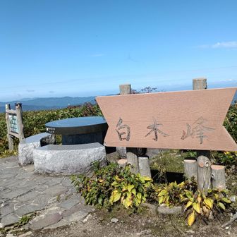 山頂