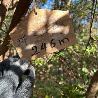 三つ目、坪江山⛰️ピークに到着。