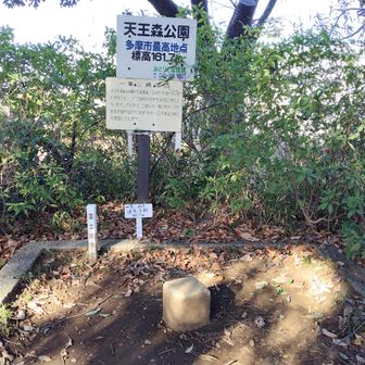 天王森の山(連光寺村一等三角点)