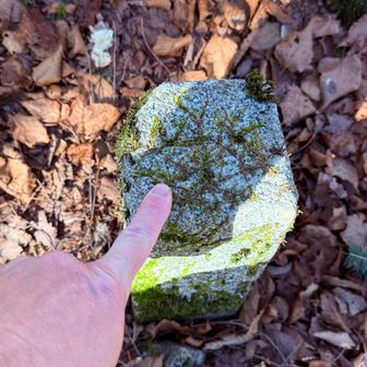 三角点は少し奥まったところにあります！タッチ