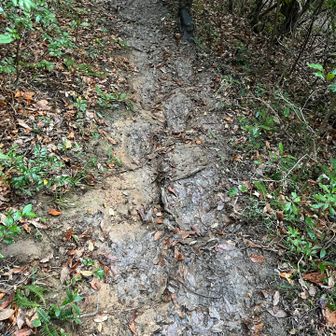 登山道ズルズルやんけー
足場は非常に悪いです💦
