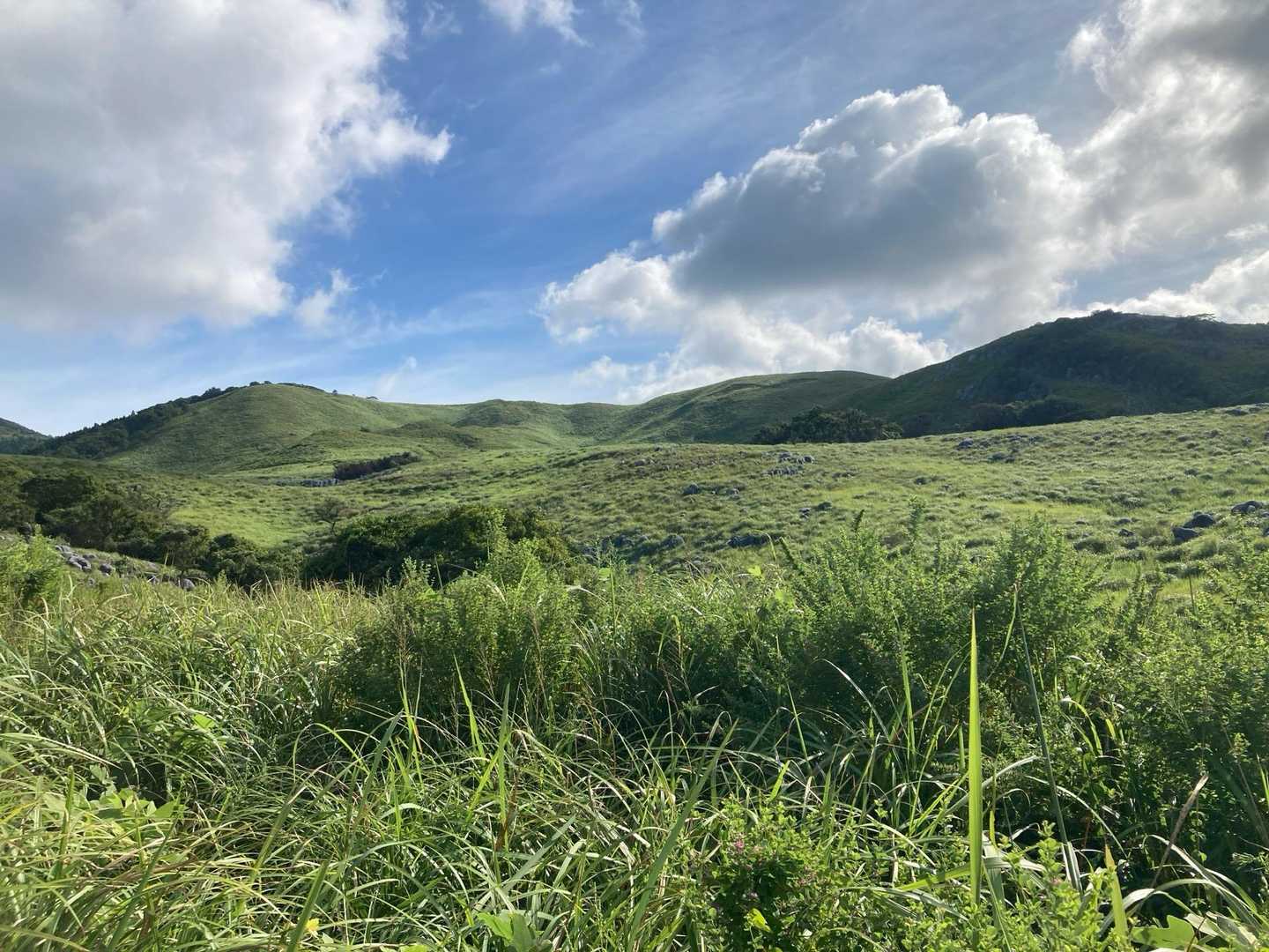 大平山-中峠 周回コースの写真