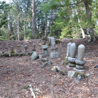 歴代の住職のお墓でしょうか。