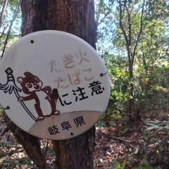 いつもの火消しリスさんありがとう🐿️