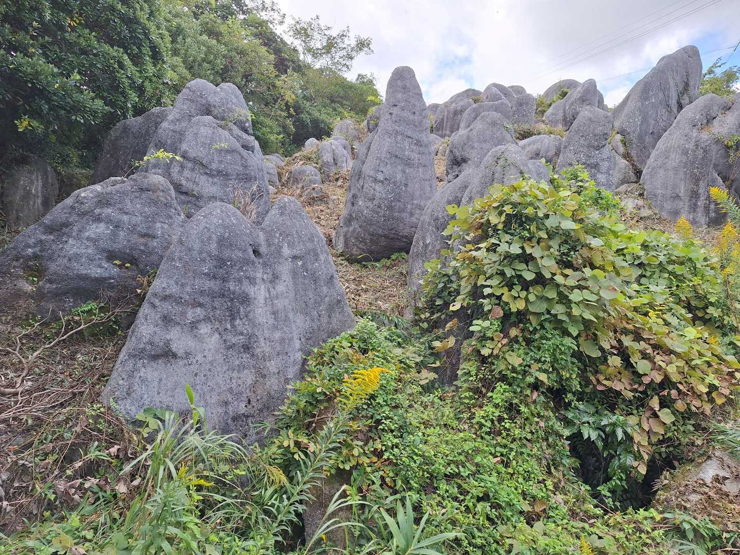 岩・岩の✨️