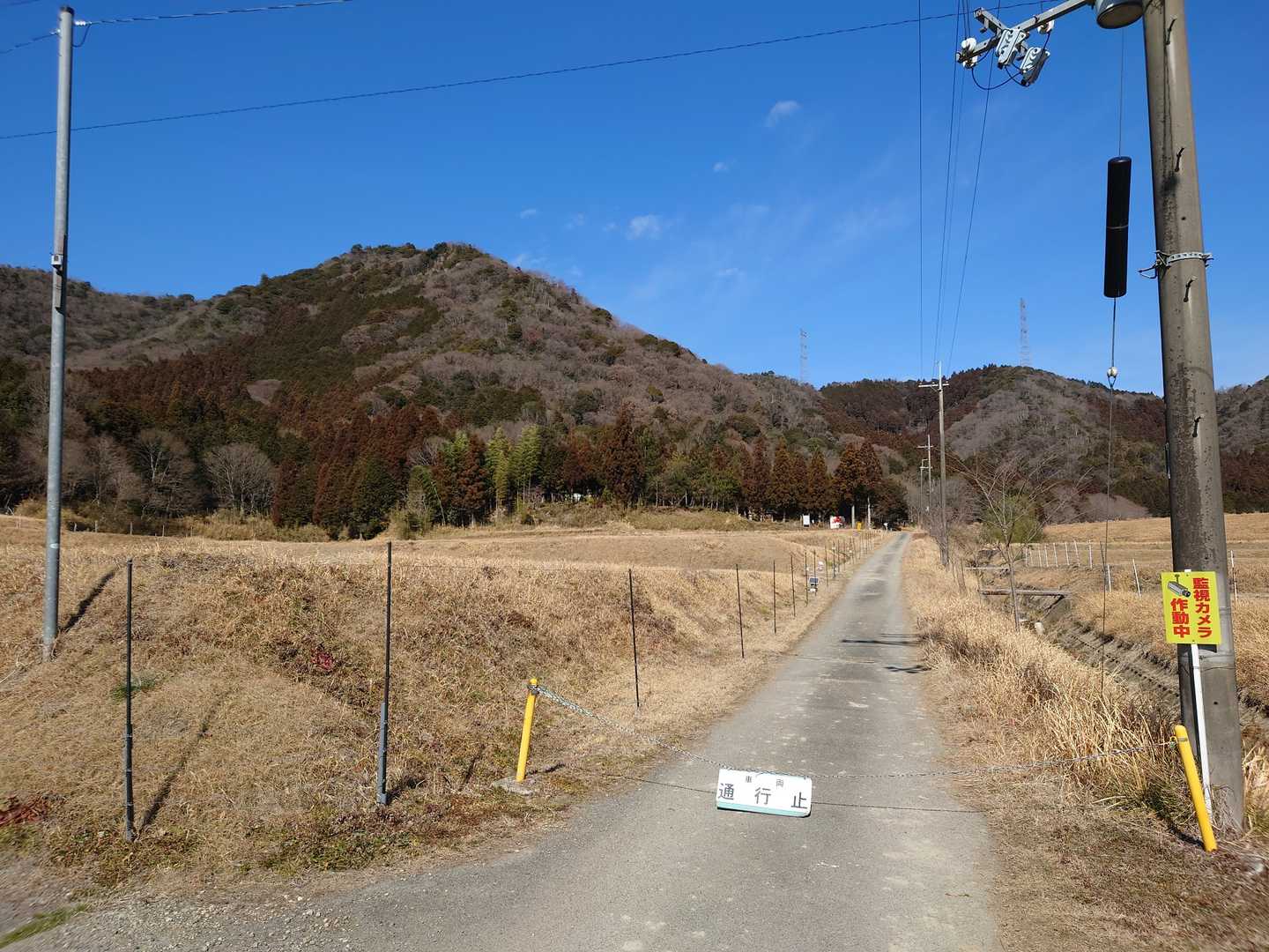 振り返って鎌倉山⛰