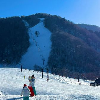 ここから🛷💨