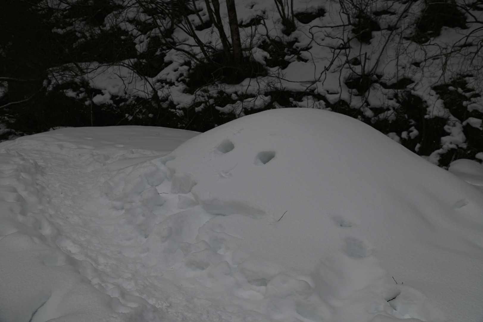 しょーゆさん、はるさん作成のカレーパンマン