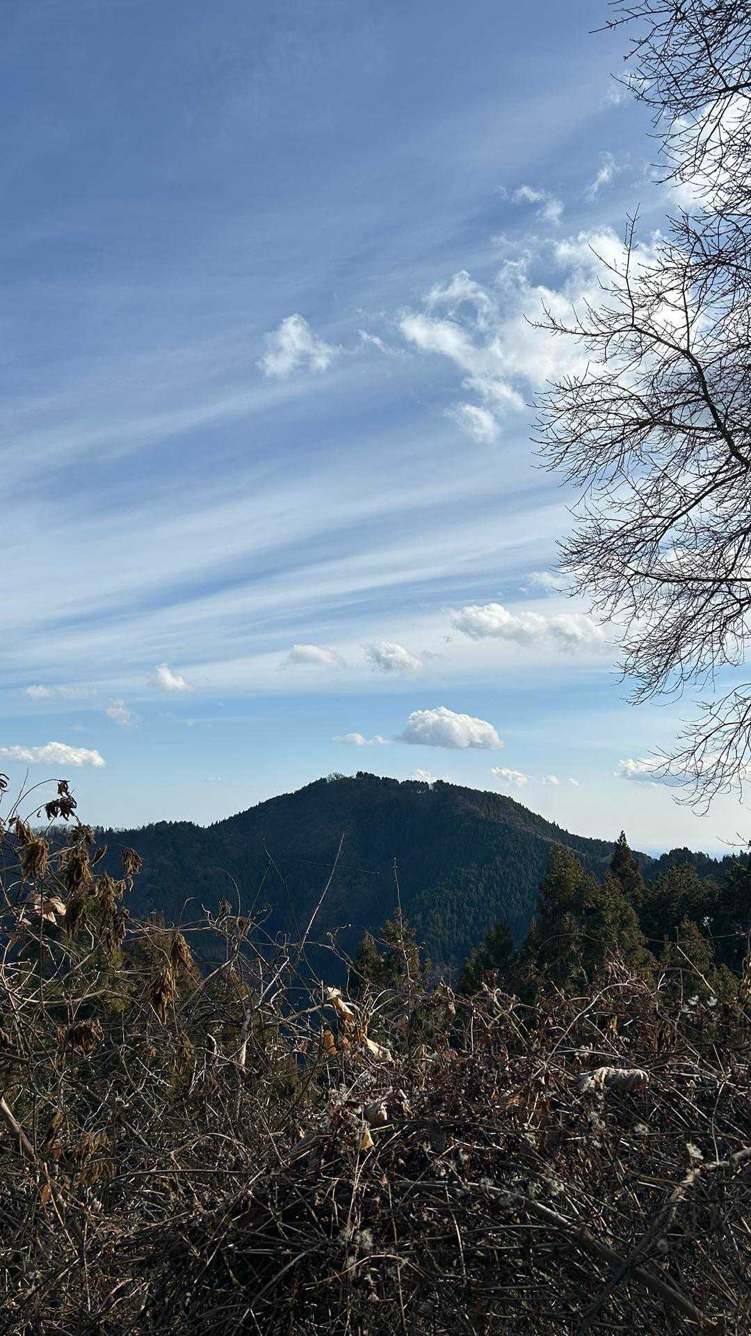 御岳山駅-日の出山 往復コースの写真