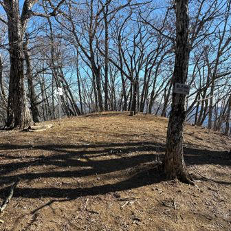 鶴ヶ鳥屋山　山頂が見えてきました

こんな感じです　広いです
